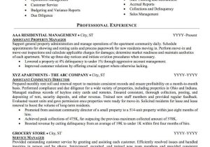 Real Estate Manager Resume Sample India Real Estate Manager Resume Sample Real Estate Manager