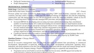 Real Estate Project Manager Resume Sample High-impact Real Estate Executive Resume Sample â Resume Pilots