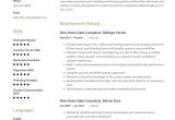Real Estate Sales Consultant Resume Sample New Home Sales Consultant Resume Example & Writing Guide Â· Resume.io