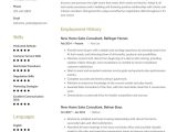 Real Estate Sales Consultant Resume Sample New Home Sales Consultant Resume Example & Writing Guide Â· Resume.io