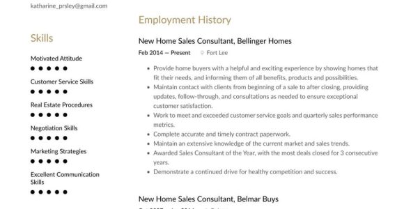 Real Estate Sales Consultant Resume Sample New Home Sales Consultant Resume Example & Writing Guide Â· Resume.io