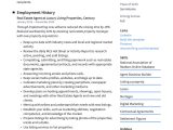 Real Estate Sales Executive Resume Sample Real Estate Agent Resume & Writing Guide  20 Templates Pdf & Word