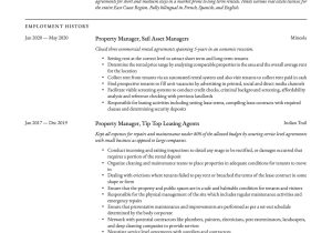Real Estate Team Leader Resume Sample Property Manager Resume & Writing Guide  18 Templates 2020