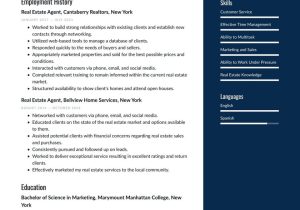 Real Estate Transaction Coordinator Resume Sample Real Estate Resume Examples & Writing Tips 2022 (free Guide)