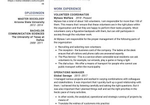 Recruiting Coordinator Resume Cover Letter Sample Resumesample Resume Coordinator Resume Sample 2022 Writing Tips – Resumekraft