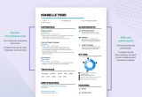 Recruiting Coordinator Resume Samples Entry Level Recruiting Coordinator Resume Examples & Guide for 2022 (layout …