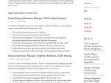Regional Human Resources Manager Resume Sample 17 Human Resources Manager Resumes & Guide 2020