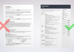 Research and Development Chemist Resume Sample Chemistry Resume Examples (guide for Chemists)