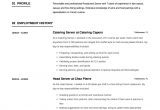 Restaurant Server Job Description Resume Sample Full Guide Restaurant Server Resume 12 Pdf Examples