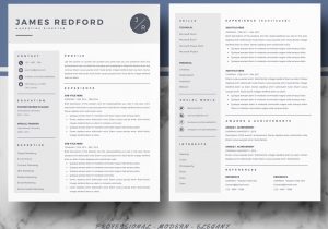 Resume and Cv Templates for Pages Professional Resume Template for Mac Pages and Word On Behance
