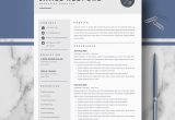 Resume and Cv Templates for Pages Professional Resume Template for Mac Pages and Word On Behance