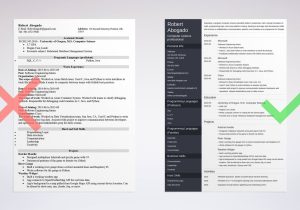 Resume for Computer Job Sample format Computer Science (cs) Resume Example (template & Guide)