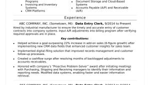 Resume for Data Entry Position Sample Data Entry Resume Monster.com