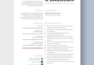 Resume for Dummies On the Job Training Conductor Sample Free Free Conductor Trainee Resume Template – Word, Apple Pages …
