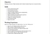 Resume for Flight attendant with No Experience Sample Entry Level Flight attendant Resume No Experience Resume No …