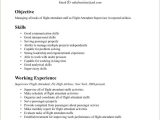 Resume for Flight attendant with No Experience Sample Entry Level Flight attendant Resume No Experience Resume No …