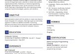 Resume for Freelance software Developer Sample Freelance Ui Developer Resume 2022 Writing Tips – Resumekraft