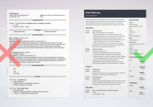 Resume for Freelance software Developer Sample Programmer Resume Examples (template & Guide)