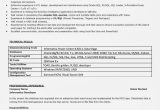 Resume for H1b Application Samples for Computer Science H1b Sponsoring Desi Consultancies In the United States: Sample …
