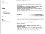 Resume for Mom Returning to Work Sample Executive Of Household Resume Rev the Mom Project