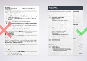 Resume for No Experience Sample 2023 20lancarrezekiq Entry Level Resume Examples, Templates & Tips