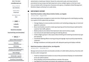 Resume for Retail Luxury Stores Samples 18 Years Old Retail Merchandiser Resume & Writing Guide  17 Templates