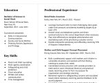 Resume for social Work Graduate School Admission Sample Human Service Worker Resume Examples In 2022 – Resumebuilder.com
