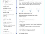 Resume for Undergraduate Student with No Experience Sample Resume with No Work Experience. Sample for Students. – Cv2you Blog