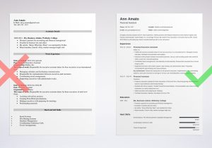 Resume format Samples to Get A Job the 3 Best Resume formats to Use In 2022 (examples)