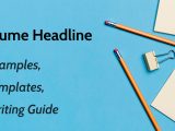 Resume Headline Sample for Naukri Com Resume Headline: How to Write Good Titles for Resumes (lancarrezekiq Examples …