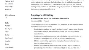 Resume It Entrepreneur Career Profile Samples Small Business Owner Resumes  19 Examples Pdf 2022