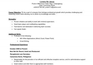 Resume Objective Sample for First Job First Job Resume Job Objective – Free Documents