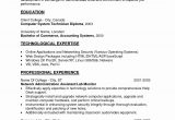 Resume Objective Samples for Entry Level Jobs Resume Objective Examples Entry Level