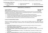 Resume Objective Samples for Experienced Professionals Resume Template Resume Summary Objective top Resume Objectives …