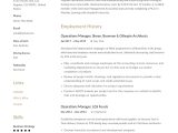 Resume Sample for A Directore Of Operations Culinary Job Operations Manager Resume & Writing Guide  12 Examples Pdf