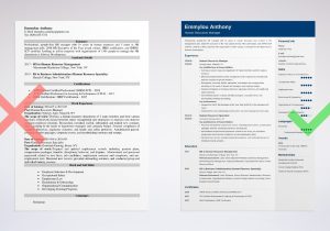 Resume Sample for A Human Resource Human Resources (hr) Manager Sample [lancarrezekiqskills & Summary]