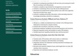 Resume Sample for A Human Resource Human Resources Resume Examples & Writing Tips 2022 (free Guide)