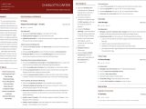 Resume Sample for A Sales Lead Generator Best Sales Resume: top 10 Best Sales Resume Templates [2022 Samples]
