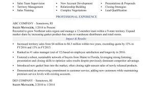 Resume Sample for A Sales Lead Generator Sales Manager Resume Sample Monster.com