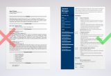 Resume Sample for An It Professional It Specialist Resume Sample (guide & Template)