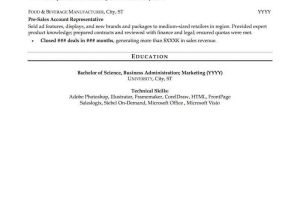 Resume Sample for An It Professional Mid Career Resume Sample Professional Resume Examples topresume