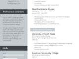 Resume Sample for An It Professional the Best Resume Examples for A Perfect Job Application – Freesumes