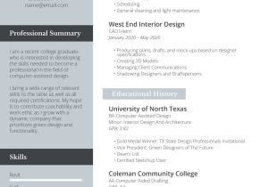 Resume Sample for An It Professional the Best Resume Examples for A Perfect Job Application – Freesumes