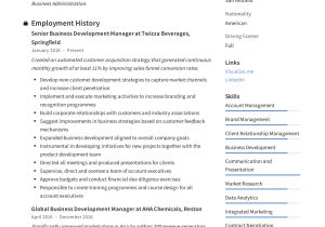 Resume Sample for associate Development Job Business Development Manager Resume & Guide 2022