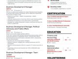Resume Sample for associate Development Job Business Development Resume Samples [4 Templates   Tips] (layout …