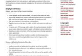 Resume Sample for Barista with Experience Barista Resume Examples & Writing Tips 2022 (free Guide) Â· Resume.io