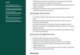 Resume Sample for Building Material Sales Sales Manager Resume Example & Writing Guide Â· Resume.io