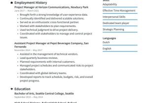 Resume Sample for Candidate with Limited English Google Resume Examples & Writing Tips 2022 (free Guide) Â· Resume.io