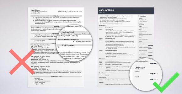 Resume Sample for Candidate with Limited English Resume Language Skills: Proficiency Levels & How to List