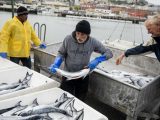 Resume Sample for Commercial Salmon Fisherman California Fishermen Report the Biggest Salmon Season In A Decade